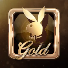 Playboy Gold - BEERSLOT365