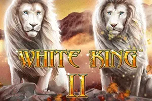 White King II - BEERSLOT365