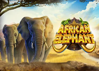 Pragmatic : African Elephant - BEERSLOT365